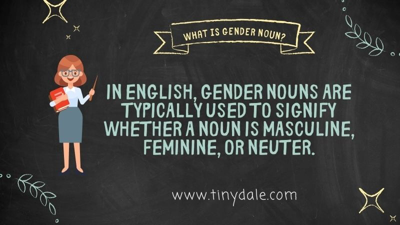 What is gender nouns Tinydale