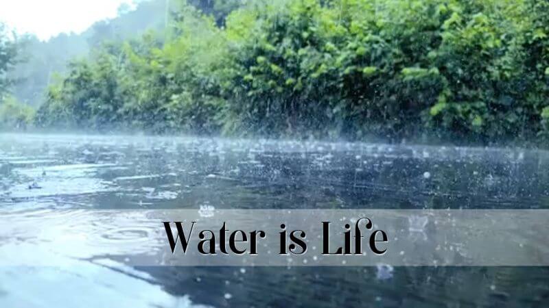 Water is life