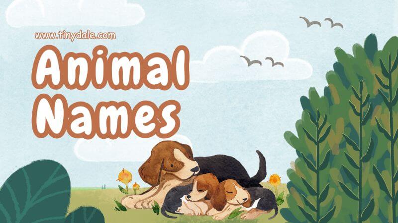 animals starting with B