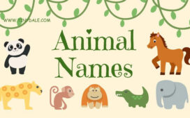 animal beginning with T