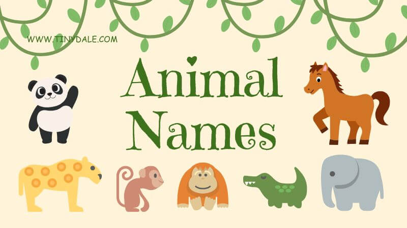 animal beginning with T