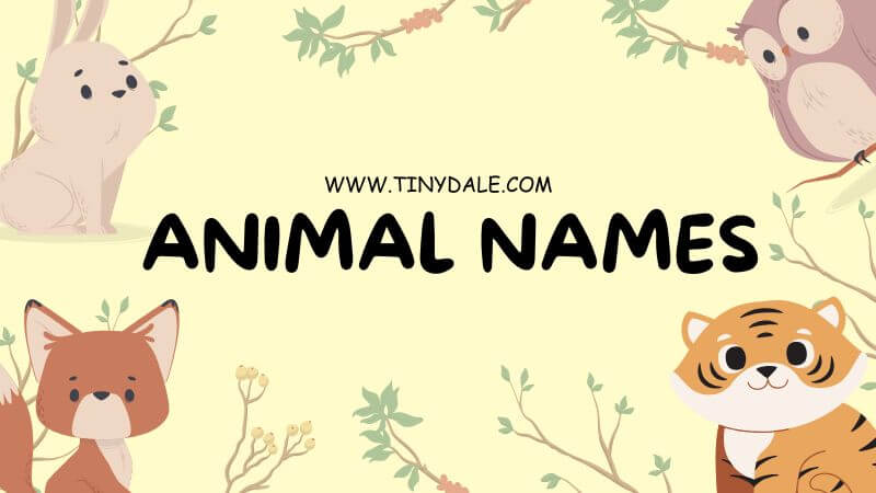 animal beginning with T