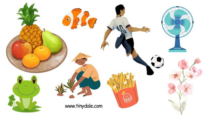 Nouns That Start With F