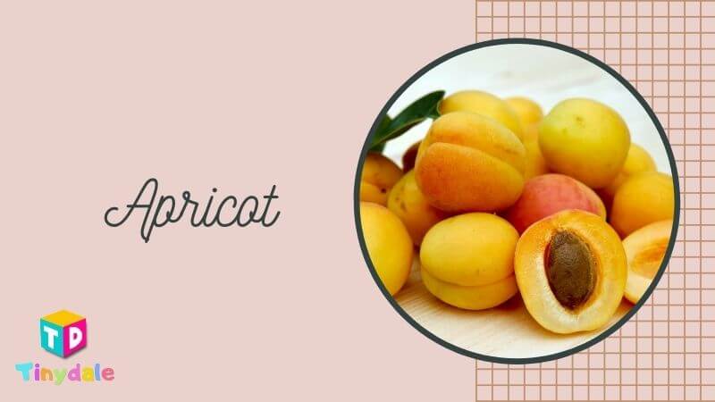 Apricot Foods to increase Breast Milk