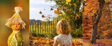 Autumn season