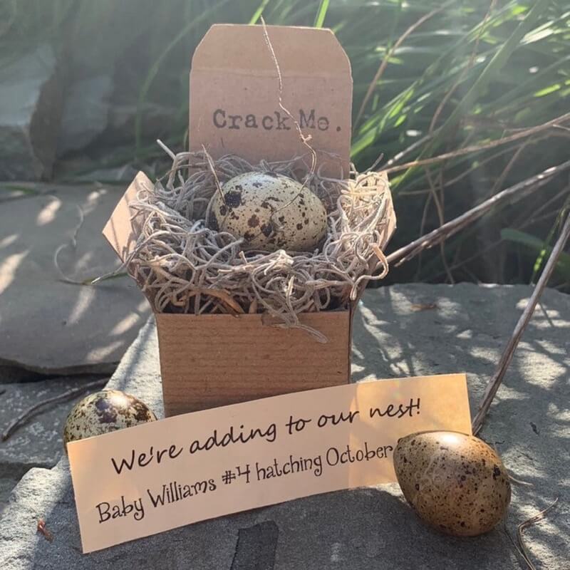 Big Sister Baby Announcement egg idea