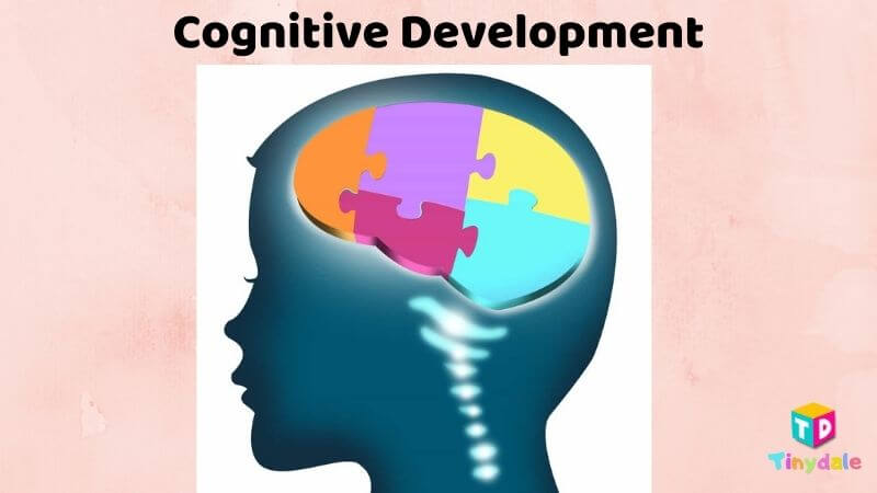 Cognitive Development