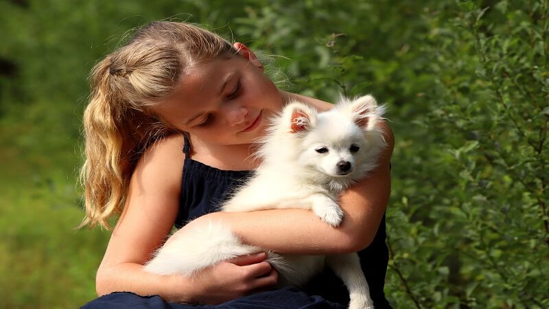 Cute girl with puppy