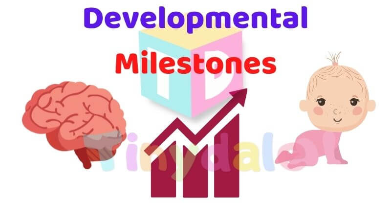 Developmental Milestones