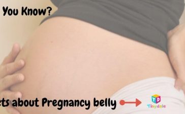 Facts about pregnancy belly - tinydale