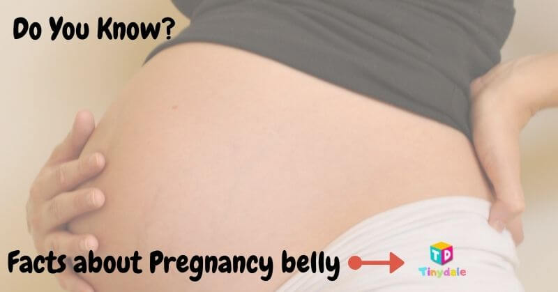 Facts about pregnancy belly - tinydale