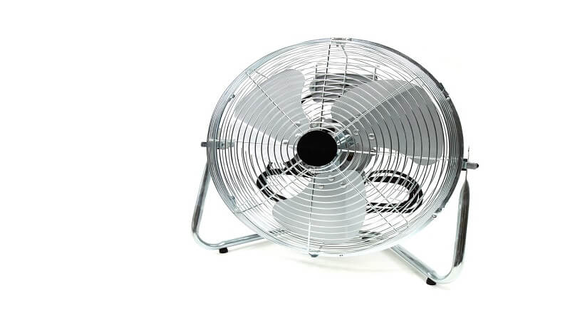 Fan