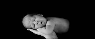 Fetal development