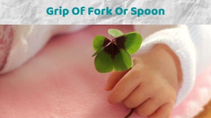 Grip Of Fork Or Spoon
