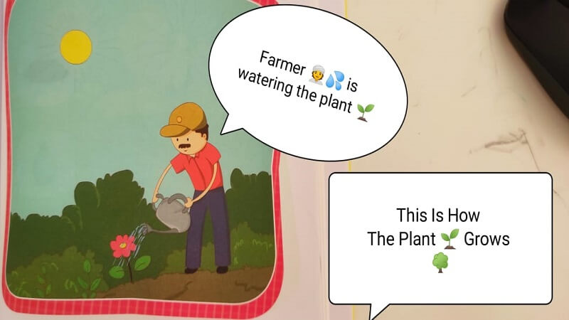 How plant grows
