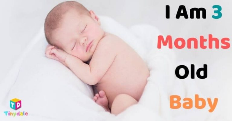 Complete Guide For Three-Month-Old Baby Development And ...
Fetal Development Month 3
