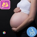 Pregnancy Calculator -tinydale