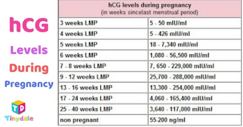 Signs of unhealthy pregnancy hcg levels - tinydale