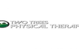 Two trees physical therapy