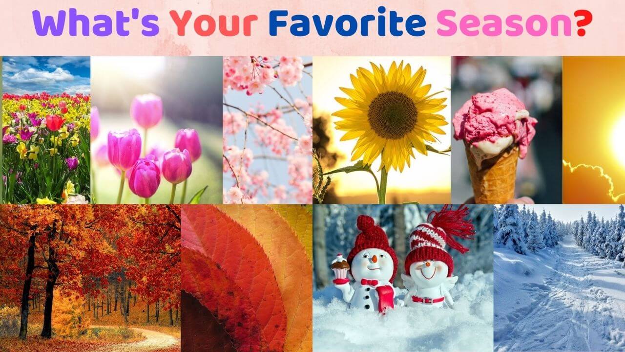 What's favorite season