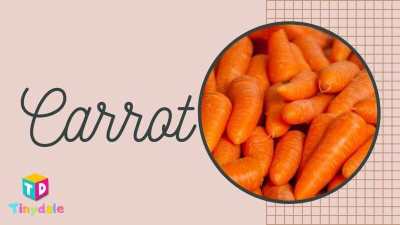 carrot - tinydale