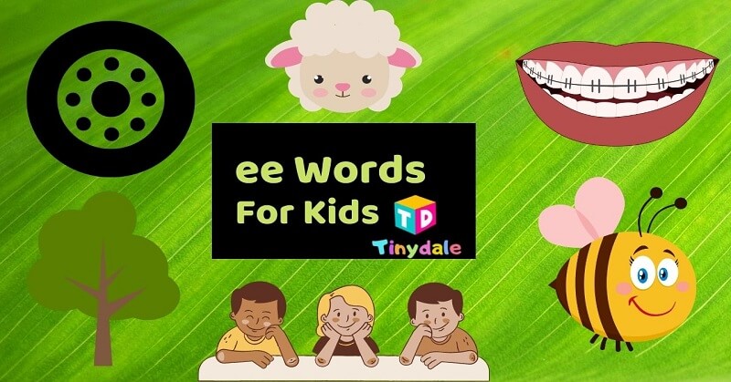 ee Words For kids