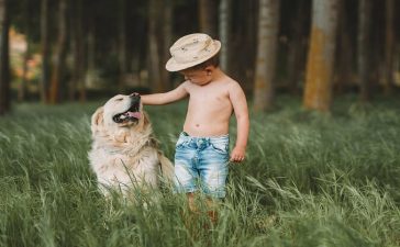 fun dog facts for kids