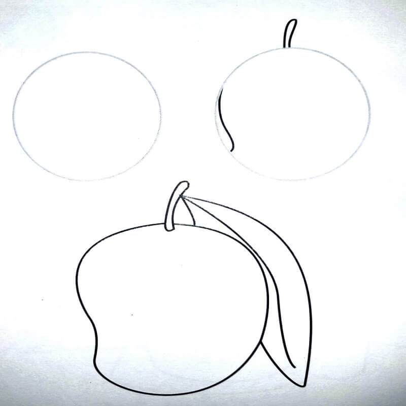 how to draw mango