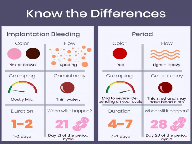Implantation Bleeding Mid Cycle 2024 www.alhudapk
