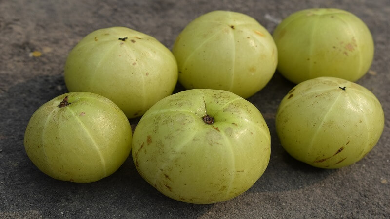 indian-gooseberry