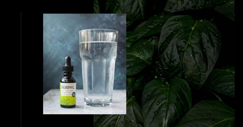 liquid chlorophyll whole foods