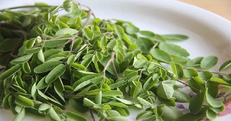 moringa-leafy vegetables