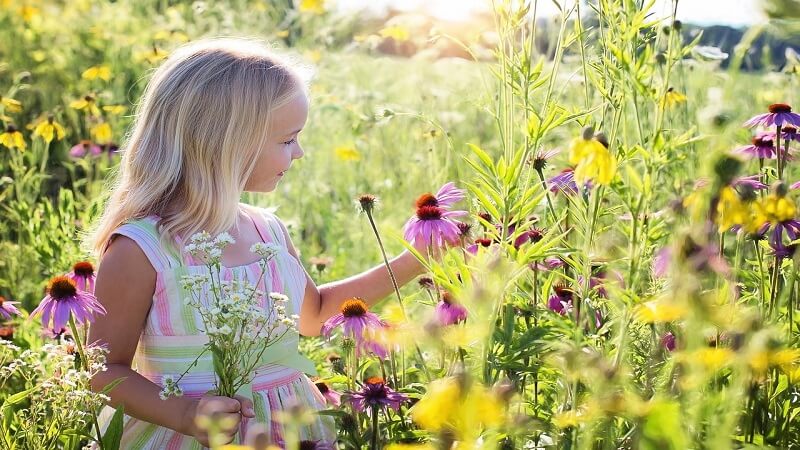 nature play Hands-on