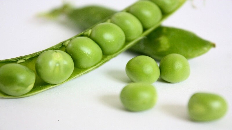 Green Peas