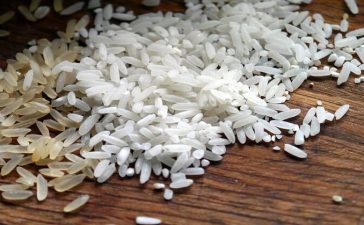 Rice