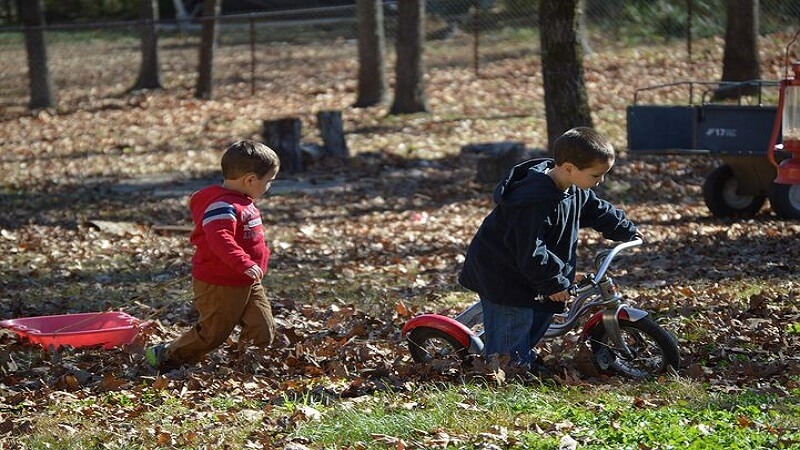 Toddler's play