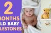 two month old baby milestone