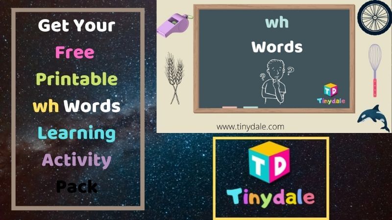 wh words activity pack - tinydale