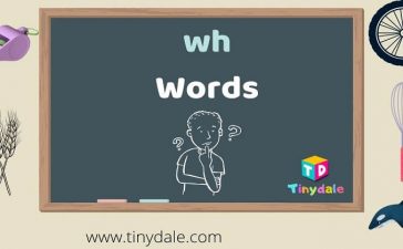 wh words for kids cover